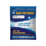 SAN-PHYTORUS